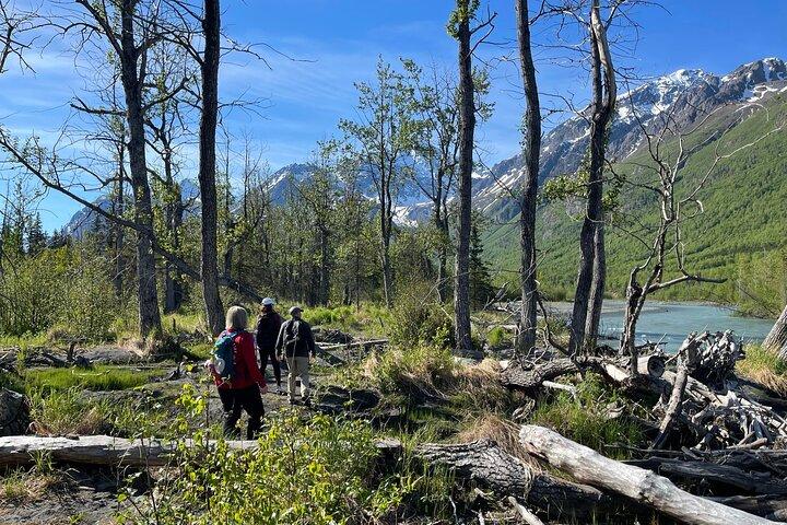 Sommertal und Waldwanderung