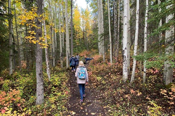 Summer Valley and Forest Hike