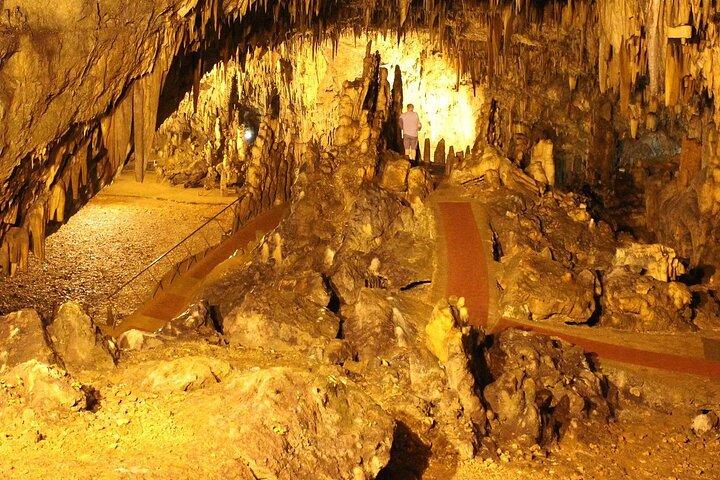 アルゴストリ港からのクルーズ船訪問者の日帰り旅行