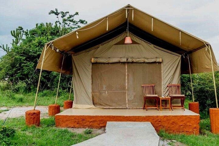 4 Tage großartige Safari durch die Masai Mara und den Lake Nakuru
