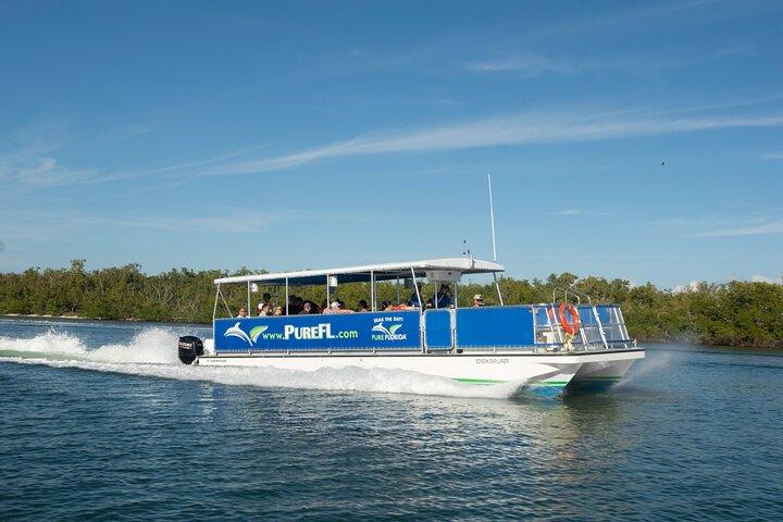 Dolphin Watch Eco Shelling Cruise to Keewaydin Island