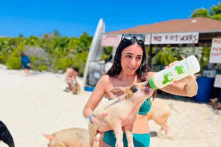Tour di un giorno di Exuma Swimming Pigs con voli e pranzo inclusi