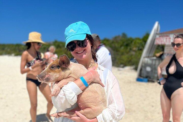 Tour di un giorno di Exuma Swimming Pigs con voli e pranzo inclusi