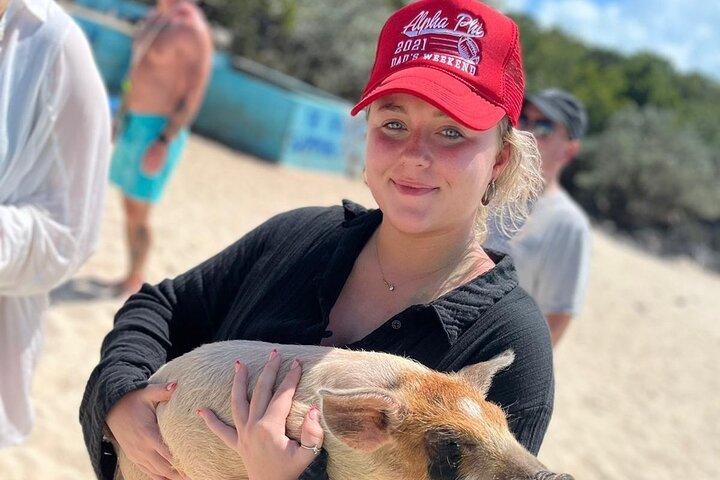 Tour di un giorno di Exuma Swimming Pigs con voli e pranzo inclusi