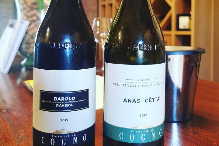 Barolo&Barbaresco Wine Experience con un enólogo local / Torino