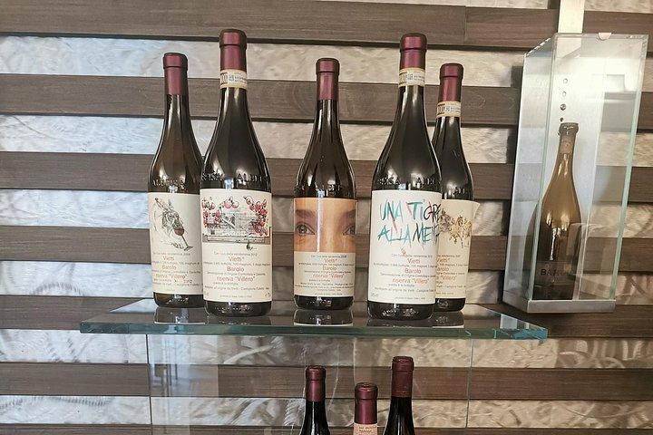 Barolo&Barbaresco Wine Experience with a Local Winemaker / Torino