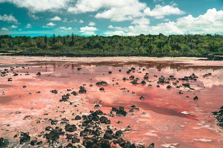 7 Tage Tour in Quito und Santa Cruz/Galapagos - Best of Ecuador