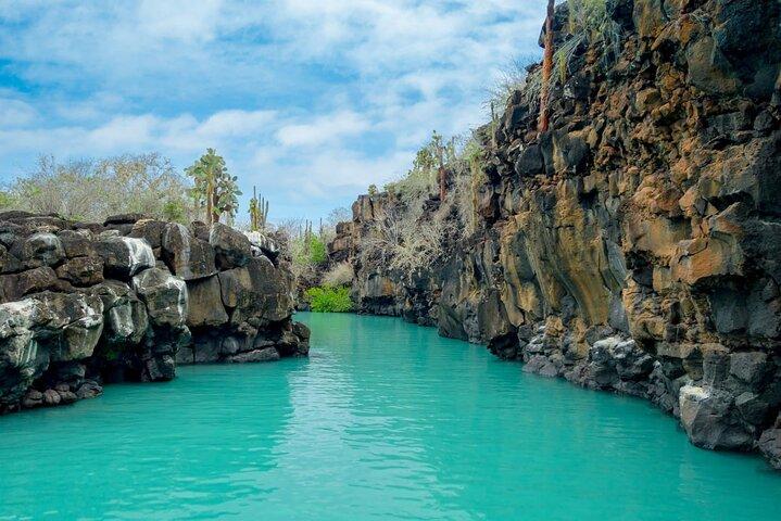 7 Tage Tour in Quito und Santa Cruz/Galapagos - Best of Ecuador
