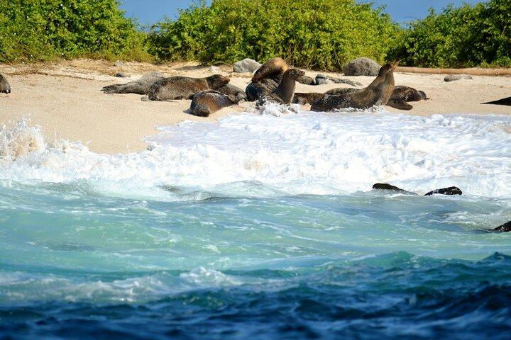 7 Tage Tour in Quito und Santa Cruz/Galapagos - Best of Ecuador