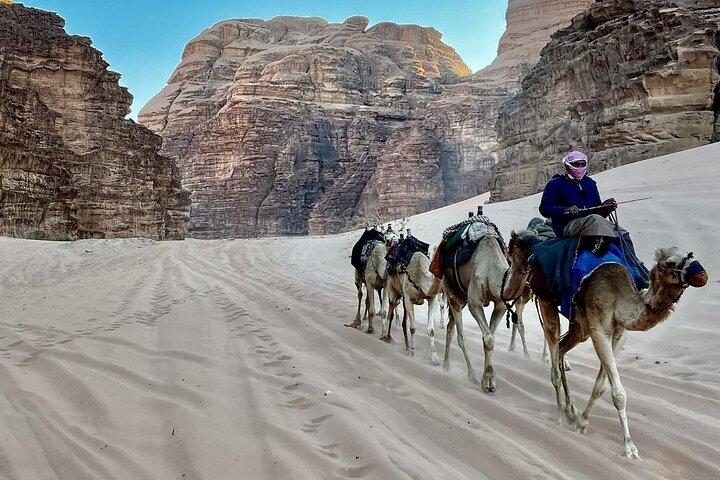 Um dia Wadi Rum de Aqaba