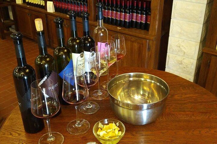 Peljesac Wine Private Day Trip vanuit Dubrovnik