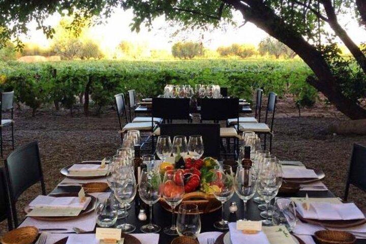 Huarpe Winery Experience & Lunch bij Lagarde. Privé transfer