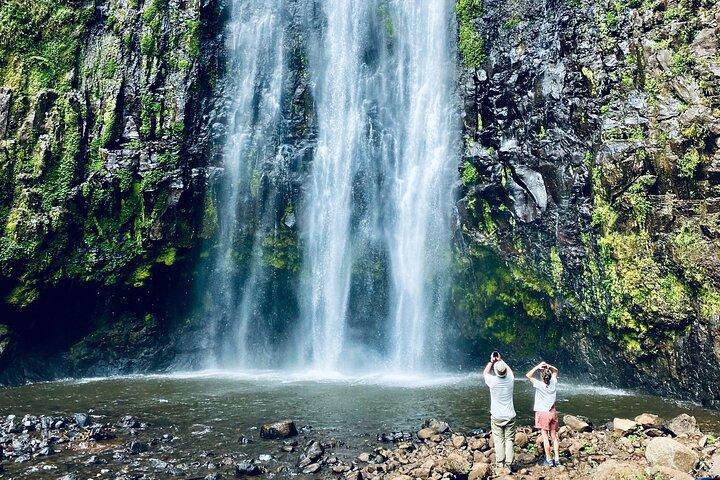 Excursión privada de un día a la catarata Materuni y tour de café