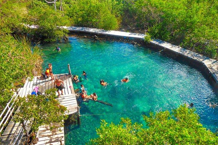 リビエラ・マヤへの移籍に伴いホルボックスとセノーテ