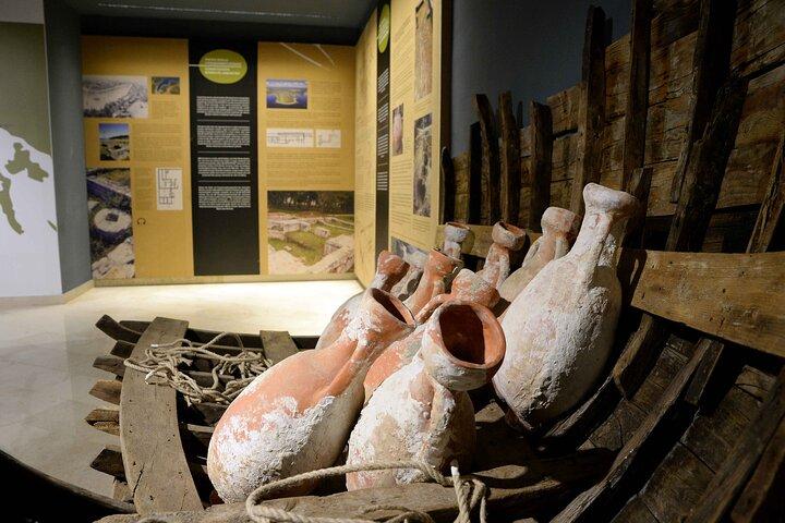 Cata guiada de aceite de oliva e historia en Pula