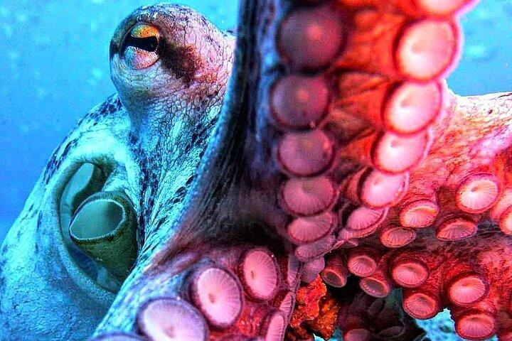 First-Time Scuba Diving Adventure