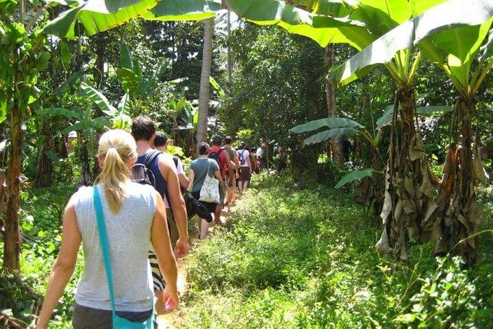 Zanzibar Spice Tour & kookles