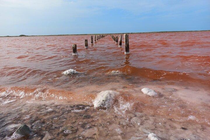 昼食付きカルタヘナのトトゥモ火山とマルローザへのツアー