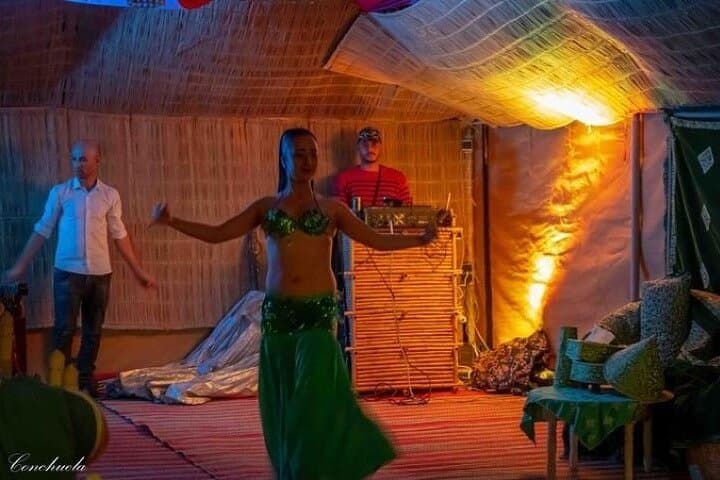 Desert D'Agafay Package - Quad, Dromedary and Dinner Show