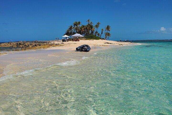 HALVE DAG Zwemmen Varkens en Haaien Tour (Nassau naar Exuma per vliegtuig)