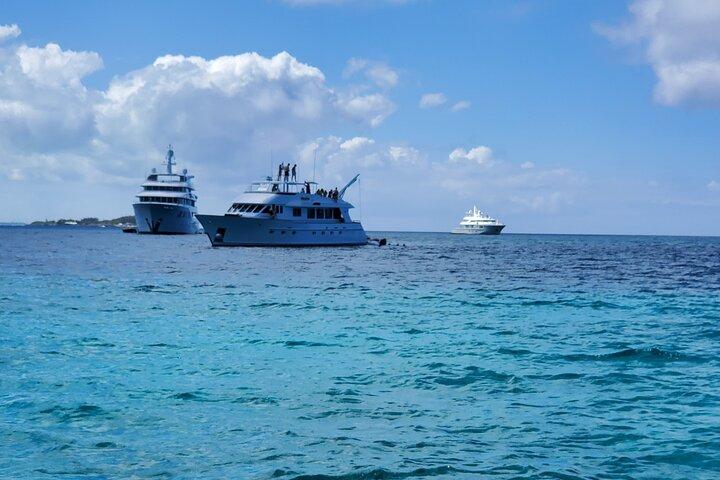 HALVE DAG Zwemmen Varkens en Haaien Tour (Nassau naar Exuma per vliegtuig)