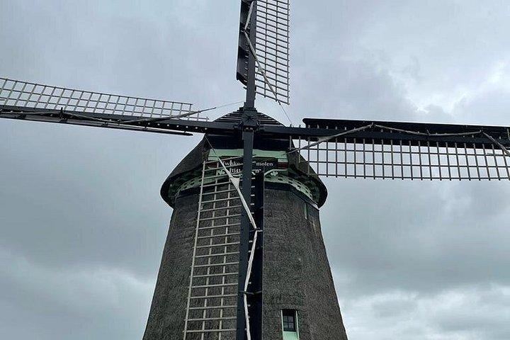 Escape Amsterdam: E-Bike to Zaanse Schans Windmills & Zaandam