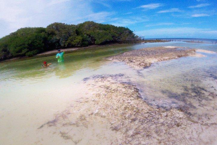 マイアミ発フロリダ キー プライベート アイランズ限定日帰り旅行 (アクティビティ付き)