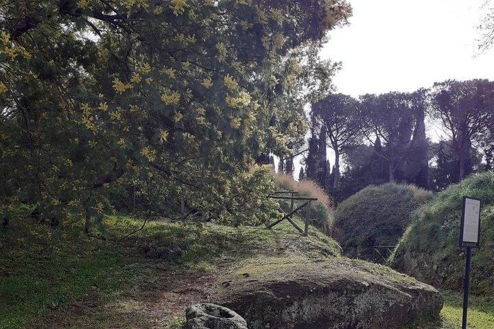 Visite privée d'une journée dans la ville étrusque de Cerveteri