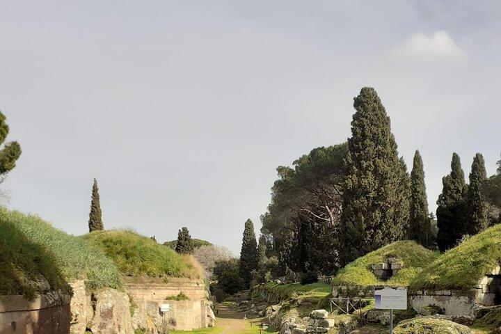 Visite privée d'une journée dans la ville étrusque de Cerveteri