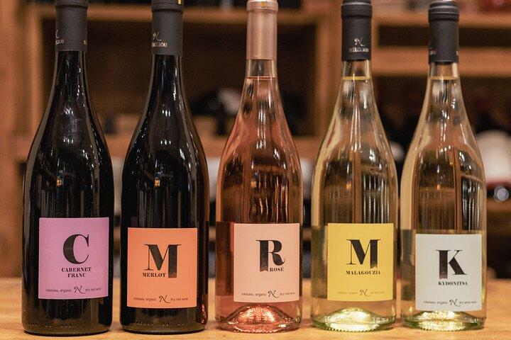 Biologische und vegane einheimische Weinprobe Private Experience