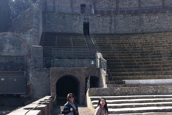 Day trip from Rome to Pompei Mt Vesuvius & Local Guide included