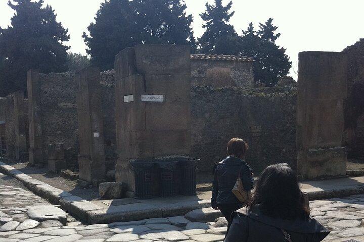 Day trip from Rome to Pompei Mt Vesuvius & Local Guide included