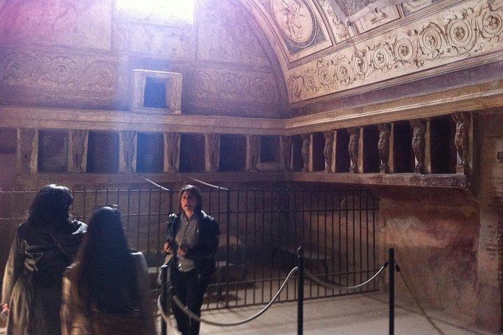 ローマからポンペイへの日帰り旅行、ヴェスヴィオ山と現地ガイド付き