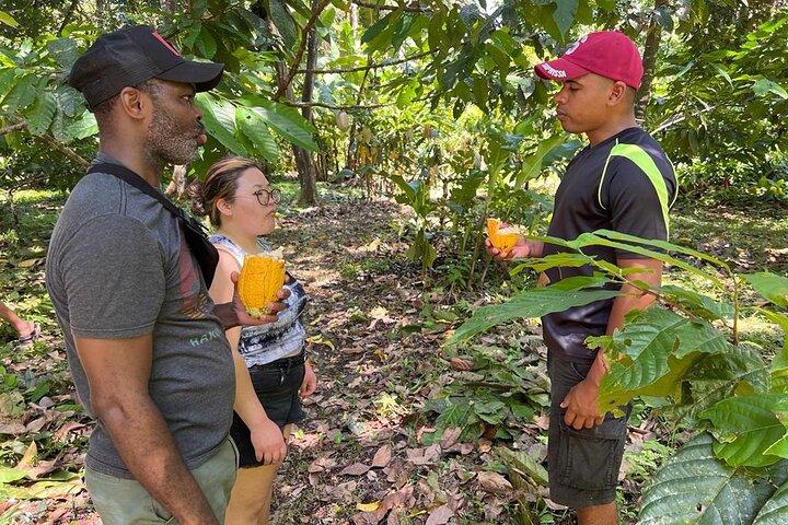 Bribri Magic Chocolate and Waterfall Experience