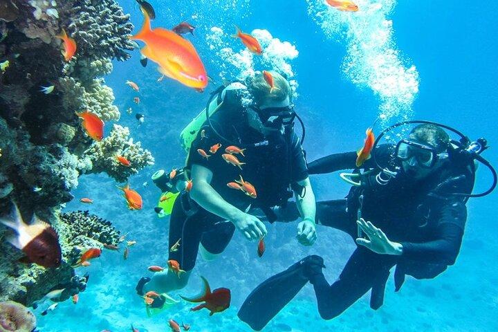 Entdecken Sie das Tauchen in Dahab