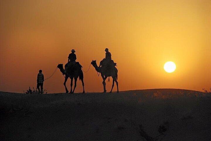Jaisalmer stjernekiggeri ørkensafari natten over