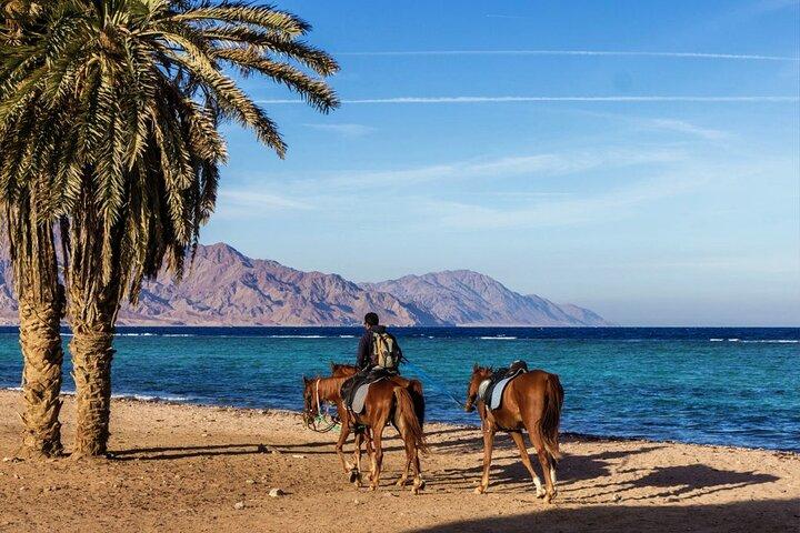Ridning i Dahab