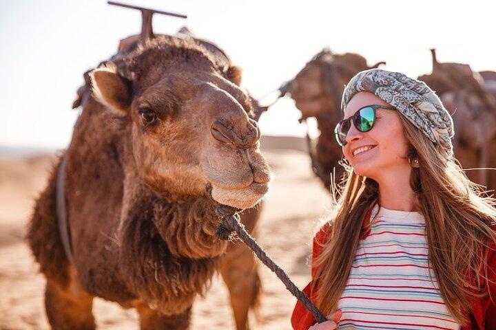 Excursão privada “Tradições de Marrakech” e passeio de camelo