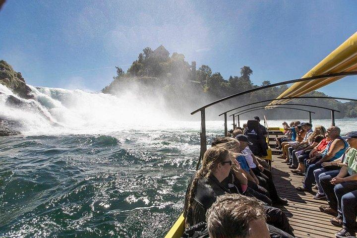 ライン滝とシュタインアムラインチューリッヒからの半日ツアー