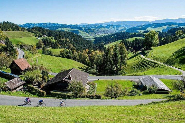Bern Small Group Day Trip from Lucerne With Emmental Dairy Visit
