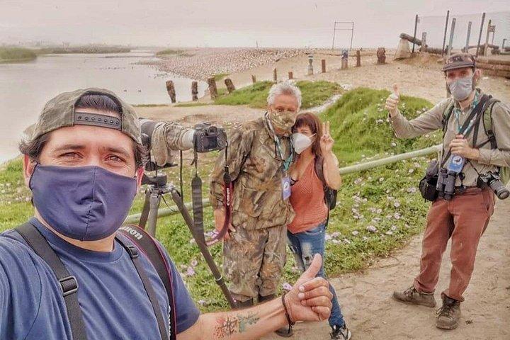 Half-Day Private Birdwatching Tour in Lima