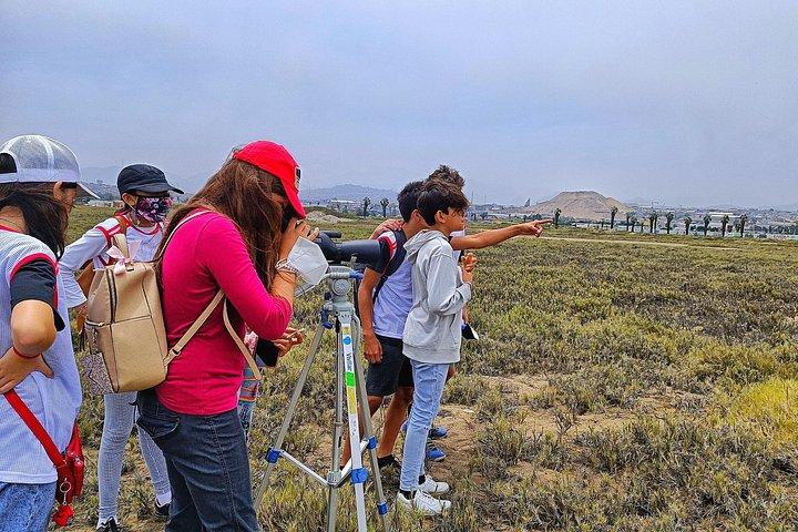 Half-Day Private Birdwatching Tour in Lima