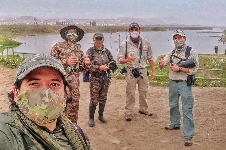 Half-Day Private Birdwatching Tour in Lima
