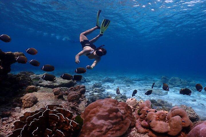 Similan Islands dagstur fra Phuket med speedbåd
