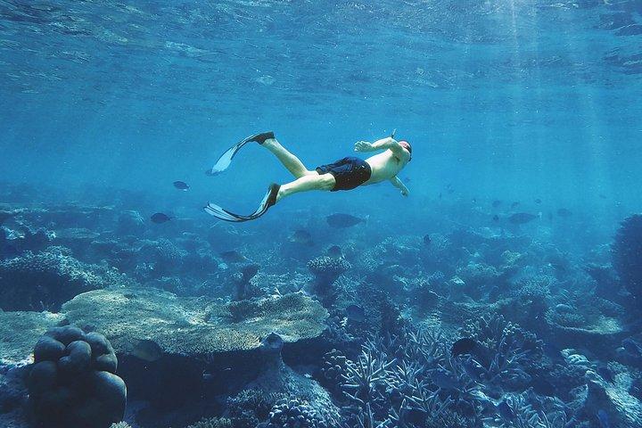 Snorkeling by Boat to Ras Mohamed