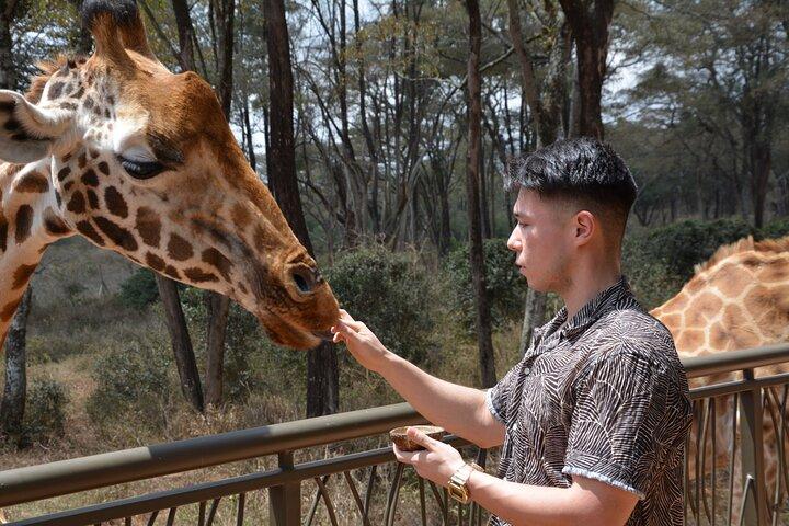 Parc national de Nairobi d'une demi-journée et marché Maasai avec prise en charge