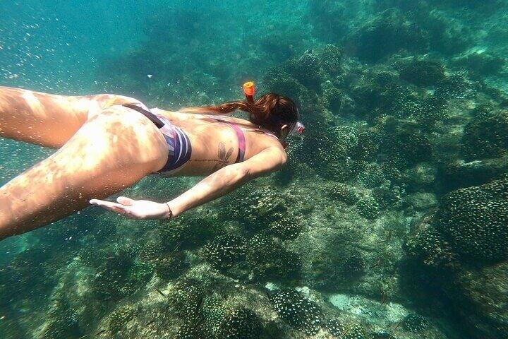 Luxe snorkeltour in Cabo San Lucas