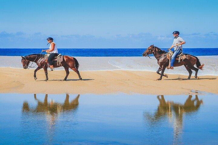Privates Reiten in Cabo San Lucas