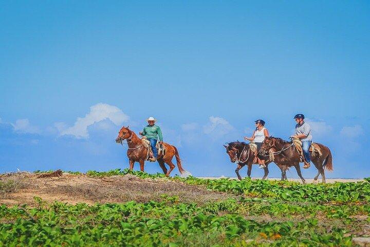 Privates Reiten in Cabo San Lucas