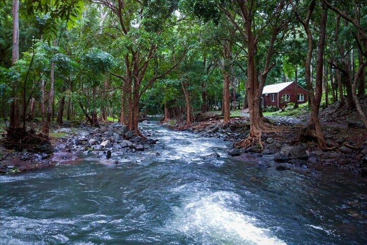 Wandern in den Black River Gorges: Ganztägig mit Mittagessen und Transfer